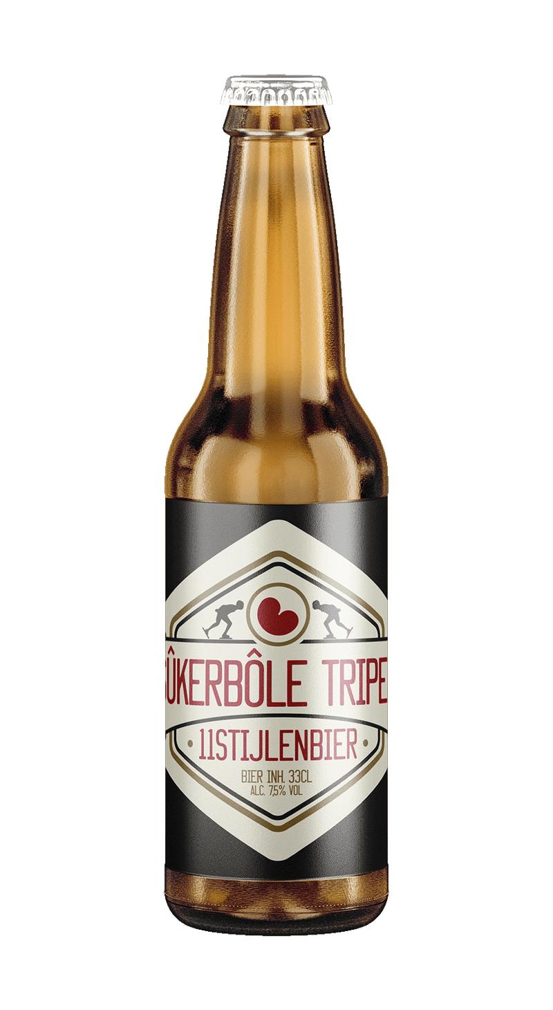 11 STIJLEN BIER